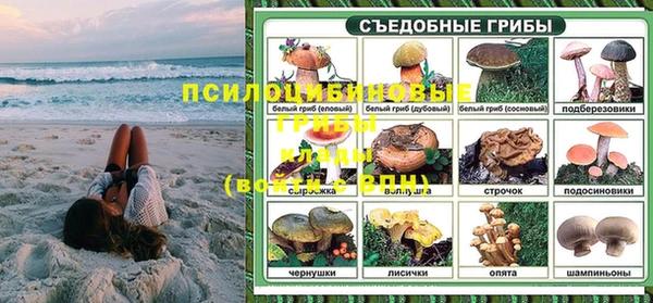 соль ск Аркадак