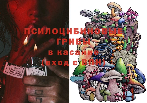 соль ск Аркадак